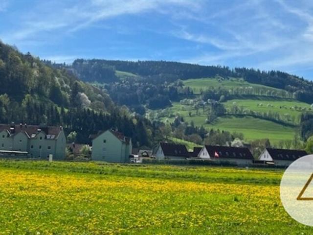 Grundstück kaufen in Randegg, Niederösterreich