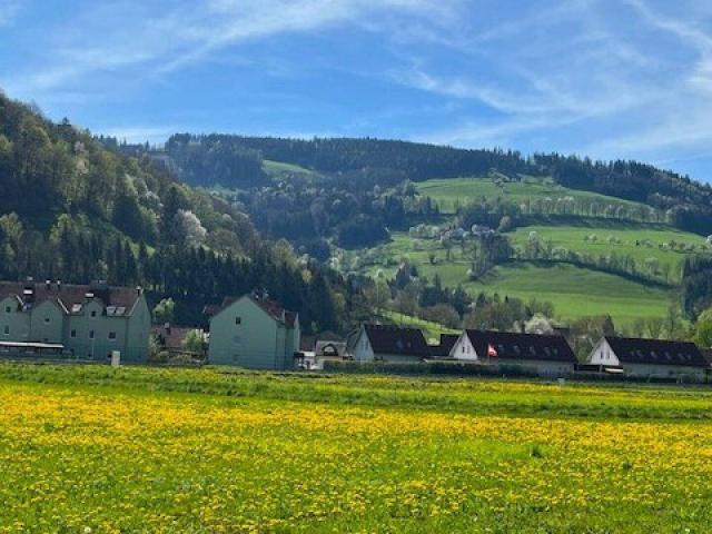 Immobilie kaufen in Randegg, Niederösterreich