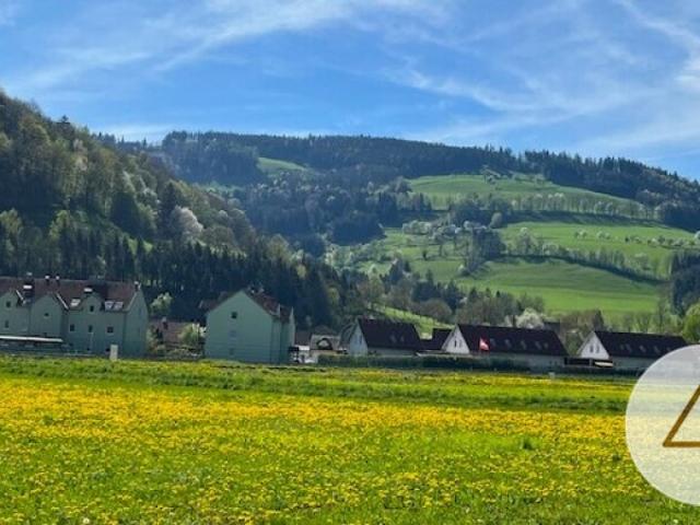 Grundstück kaufen in Randegg, Niederösterreich