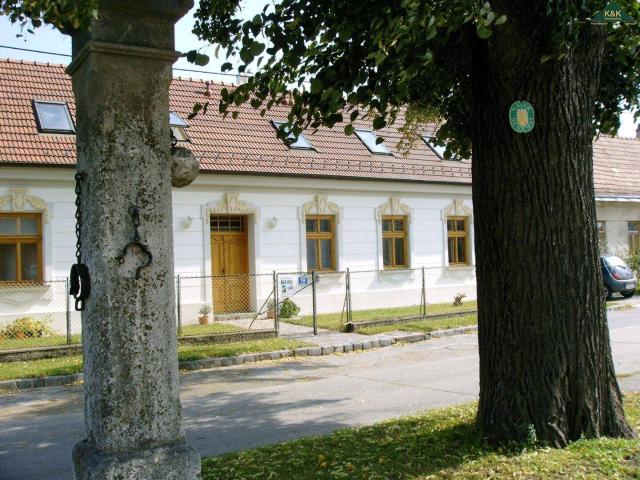 Apartment mieten in Engelhartstetten, Niederösterreich