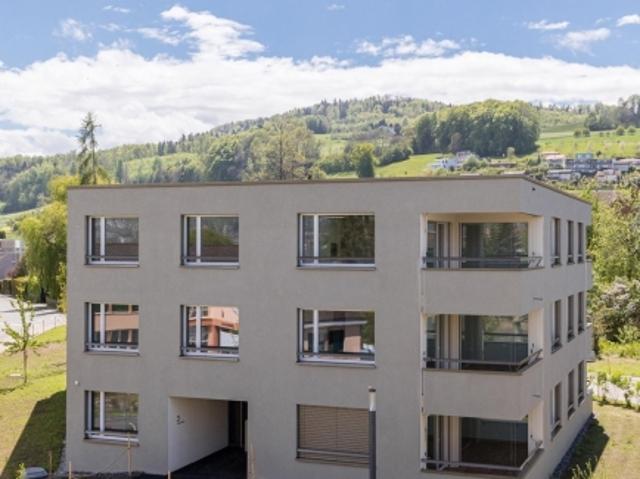 Wohnung mieten in Boniswil, Aargau