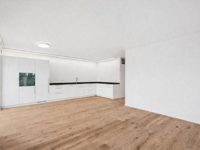 Apartment mieten in Wangen bei Olten, Solothurn