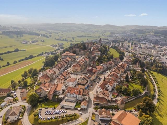 Einfamilienhaus kaufen in Romont Fr Sorties, Freiburg