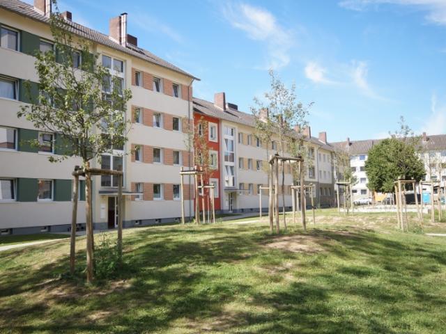 Apartment mieten in Bärenkämpen, Minden