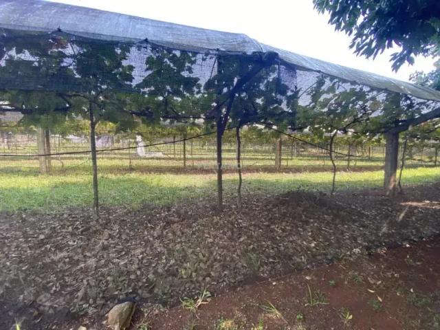 Fazenda venda em Região Geográfica Imediata de Novo Hamburgo - São Leopoldo, Região Metropolitana de Porto Alegre