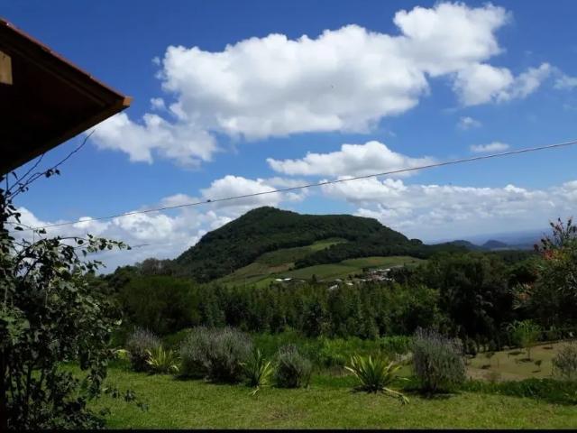 Fazenda venda em Região Geográfica Imediata de Novo Hamburgo - São Leopoldo, Morro Reuter
