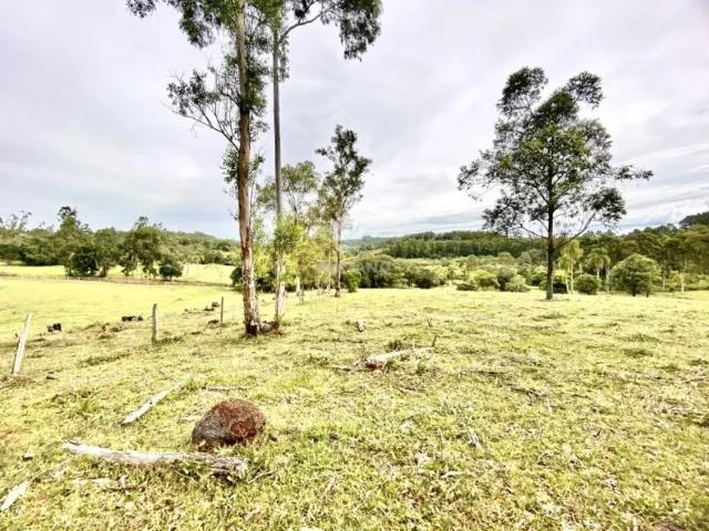 Fazenda venda em Região Geográfica Imediata de Novo Hamburgo - São Leopoldo, Região Metropolitana de Porto Alegre