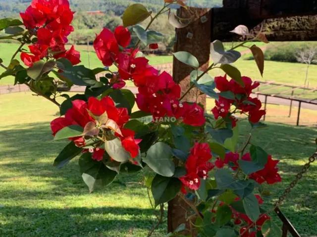 Fazenda venda em Região Geográfica Imediata de Novo Hamburgo - São Leopoldo, Presidente Lucena