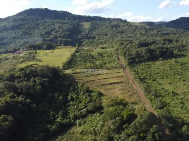 Fazenda venda em Ivoti