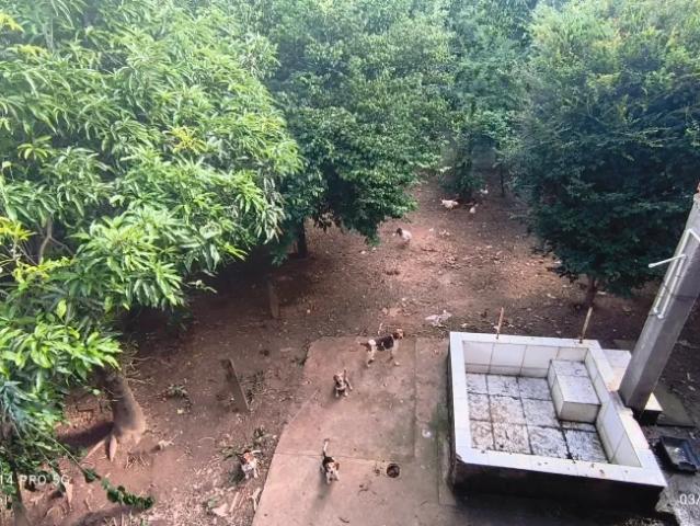 Casa venda em Pedra Branca, Caeté