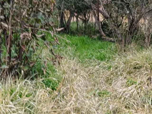 Fazenda venda em Região Imediata de Sorocaba, Região Metropolitana de Sorocaba