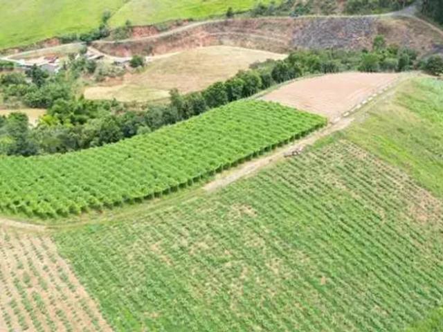 Fazenda venda em Região Geográfica Imediata de Três Rios-Paraíba do Sul, Sapucaia