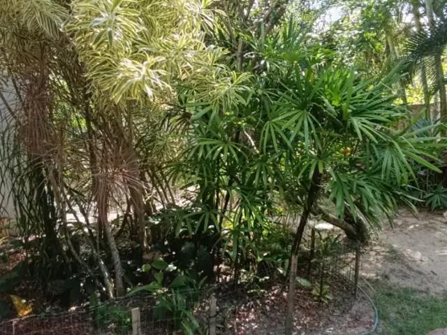 Casa venda em Região Geográfica Imediata de Salvador, Região Metropolitana de Salvador