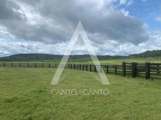 Fazenda venda em Região Geográfica Imediata de Alta Floresta, Alta Floresta