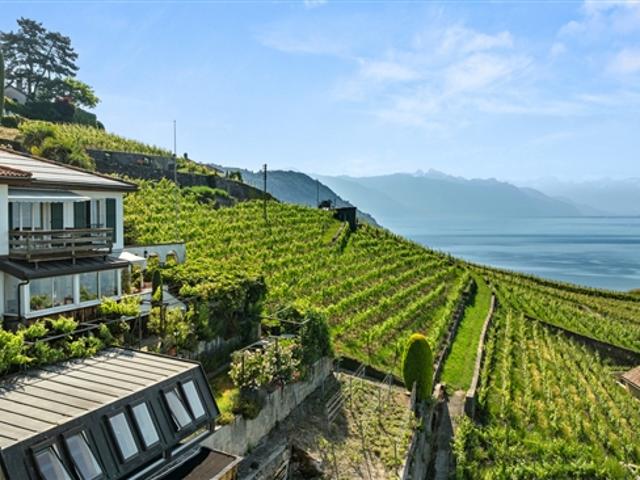 Einfamilienhaus kaufen in Bourg-en-Lavaux, Waadt