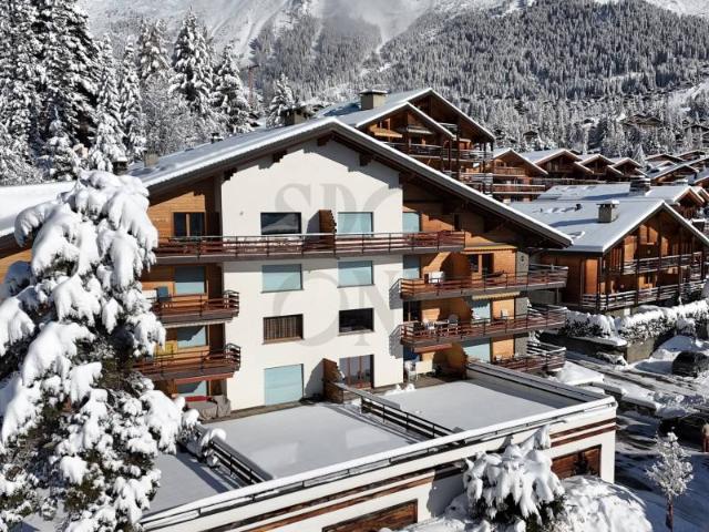 Wohnung kaufen in Verbier, Wallis