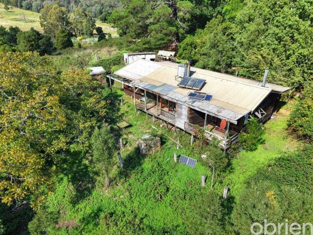 House for sale in W Tree, Shire of East Gippsland