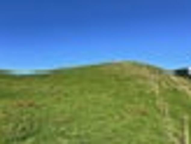 Land for sale in Waikato