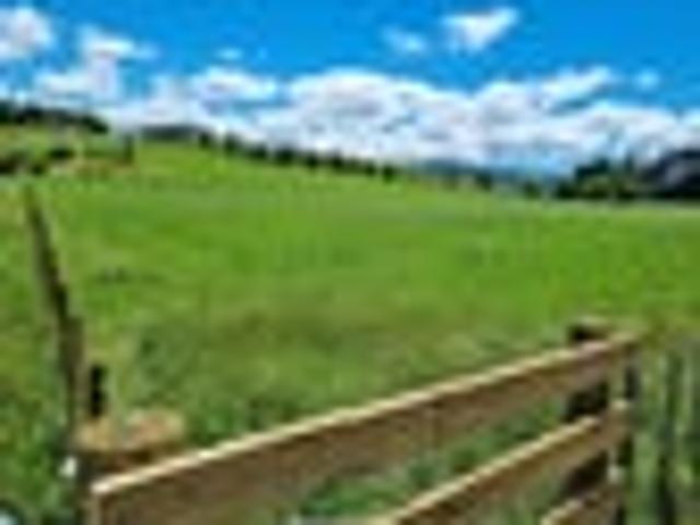 Land for sale in Bay Of Plenty