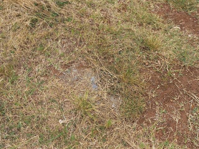 Land for sale in Kiambu