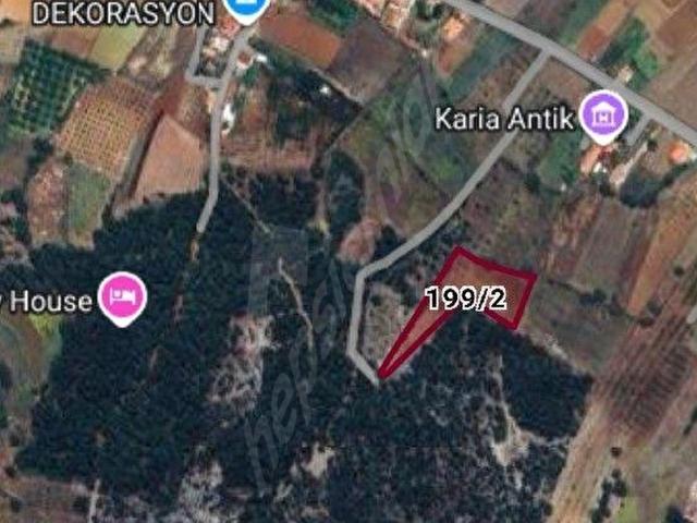 Muğla içerisinde satılık Arsa