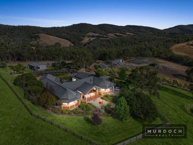 Cottage for sale in Camerons Creek, Victoria