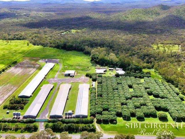 Cottage for sale in Biboohra, Queensland