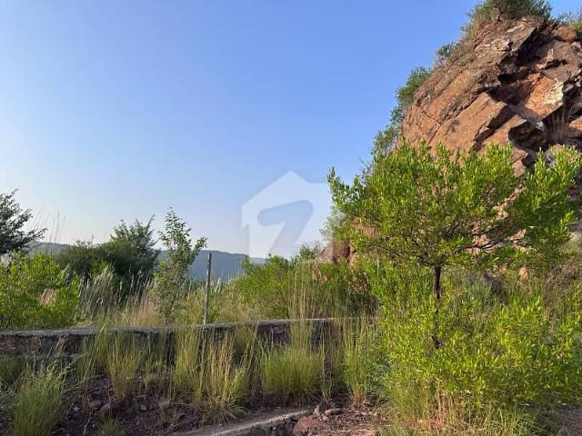Property for sale in اسلام آباد, زون 1