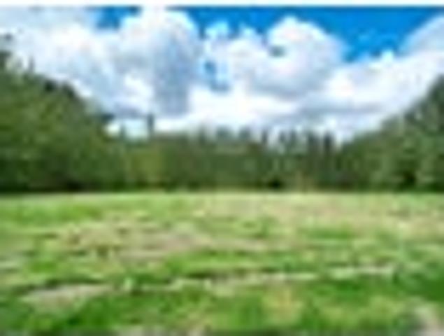 House for sale in Kawau Island