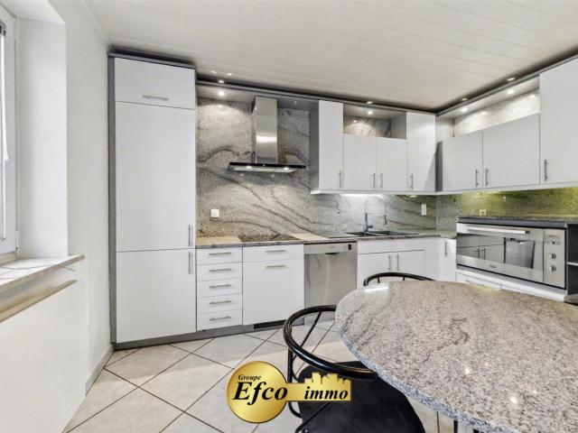 Maison vente à Mulhouse, Petit-landau