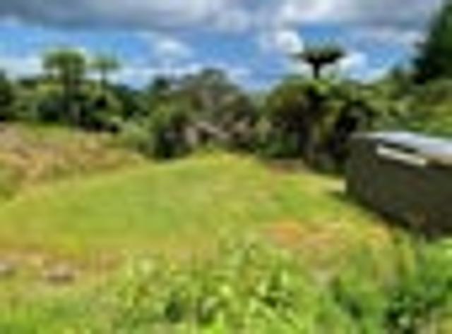 Land for sale in Coromandel, Waikato