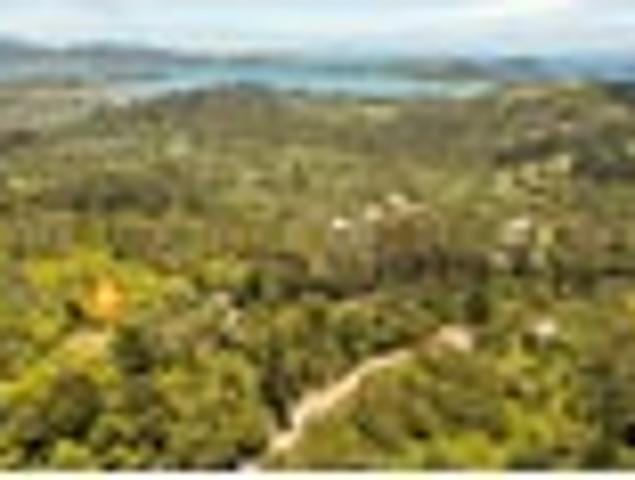 Land for sale in Coromandel, Waikato