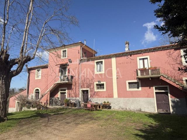 Casa in vendita a Fauglia, Toscana