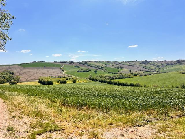 Casa in vendita a Terre Roveresche, Marche