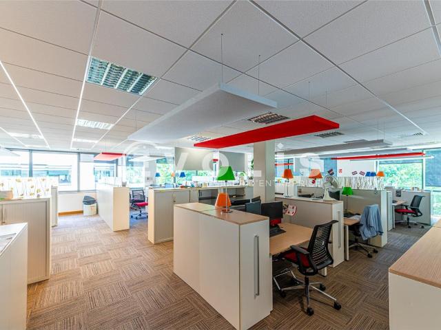 Bureau location à Torcy, Serris