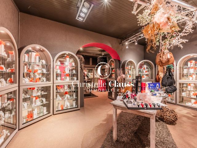 Local Commercial vente à Colmar-Ribeauvillé, Colmar