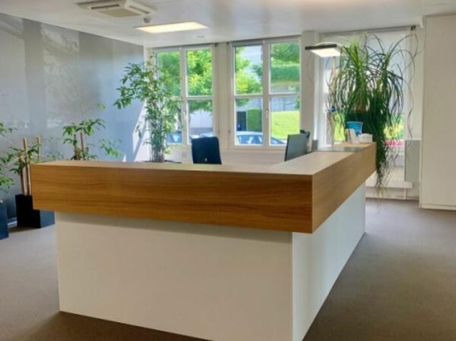 Büro mieten in Crissier, Waadt