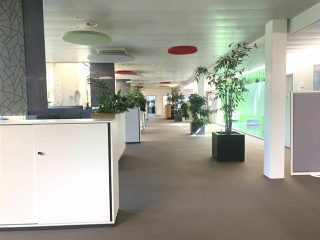 Büro mieten in Crissier, Waadt