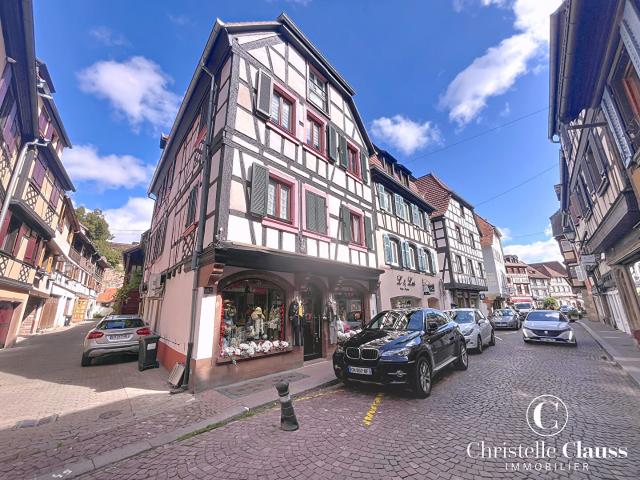 Local Commercial vente à Sélestat-Erstein, Boersch