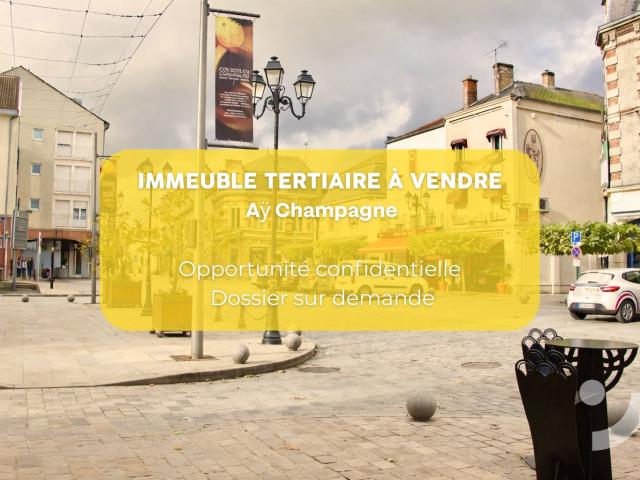 Bureau vente à Épernay, Ay