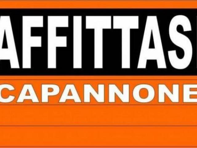 Capannone in affitto a Unione delle Terre d'Argine, Carpi