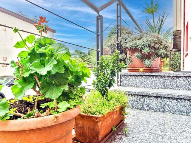 Locale Commerciale in affitto a Abbadia Lariana, Lombardia