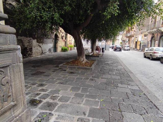 Locale Commerciale in affitto a Santa Caterina, Acireale