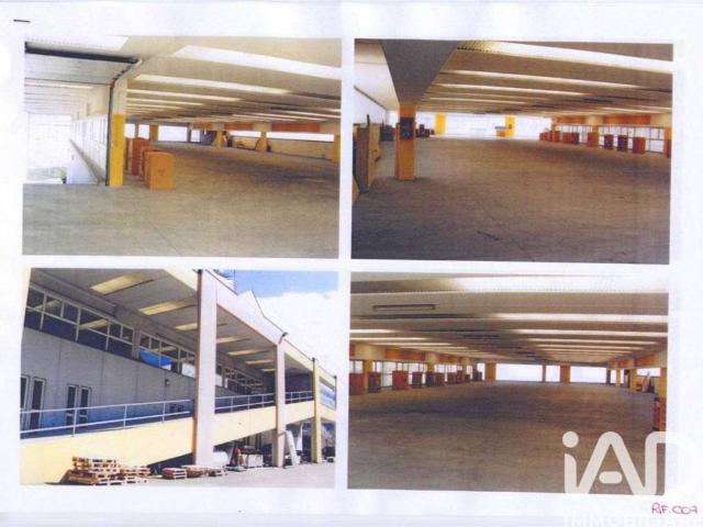 Locale Commerciale in affitto a Comunità della Vallagarina, Ala