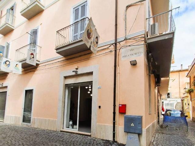 Locale Commerciale in affitto a Albano Laziale