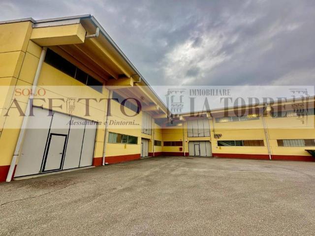 Locale Commerciale in affitto a Piemonte, Alessandria