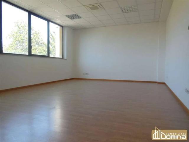 Locale Commerciale in affitto a Baraccola Ovest, Marche