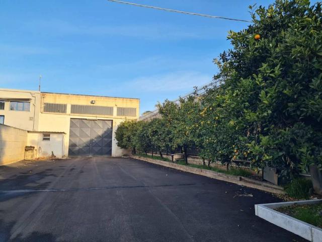 Locale Commerciale in affitto a San Valentino, Puglia