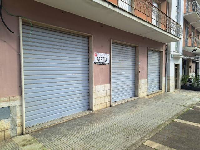 Locale Commerciale in affitto a Puzzariga, Roma Capitale