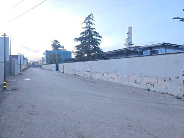 Locale Commerciale in affitto a Arzano, Campania
